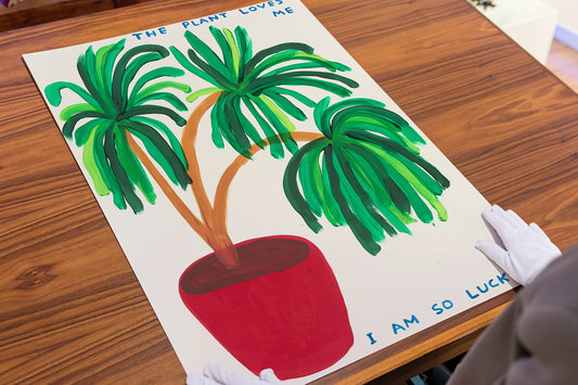 "THE PLANT LOVES ME": An Exploration of David Shrigley's Latest Release