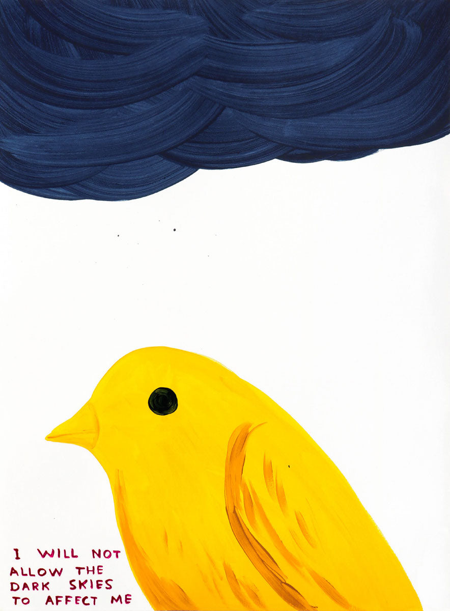 I Will Not Allow The Dark Skies To Affect Me (2025)