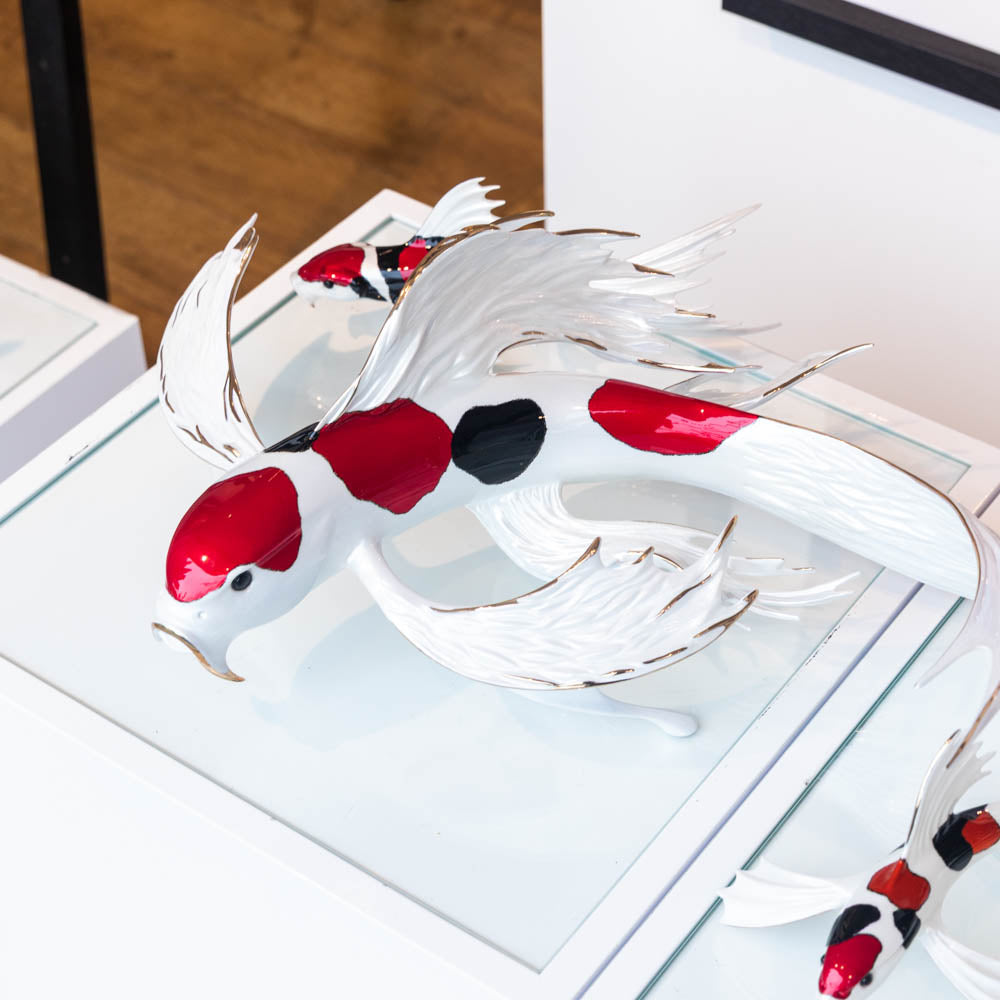Reflection - A Series of Koi Fish - Full Set