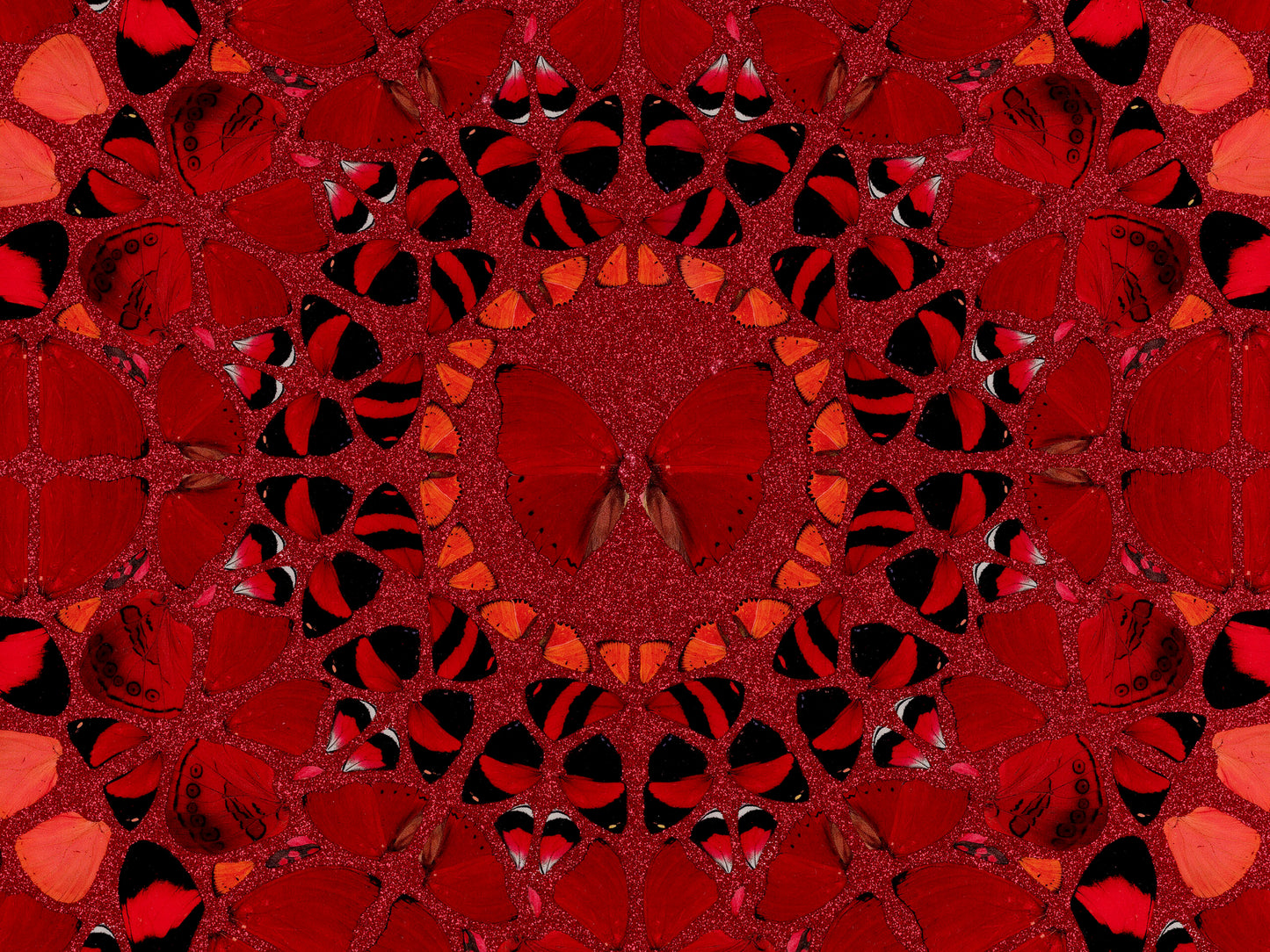 The Empresses - H10-1 Wu Zetian