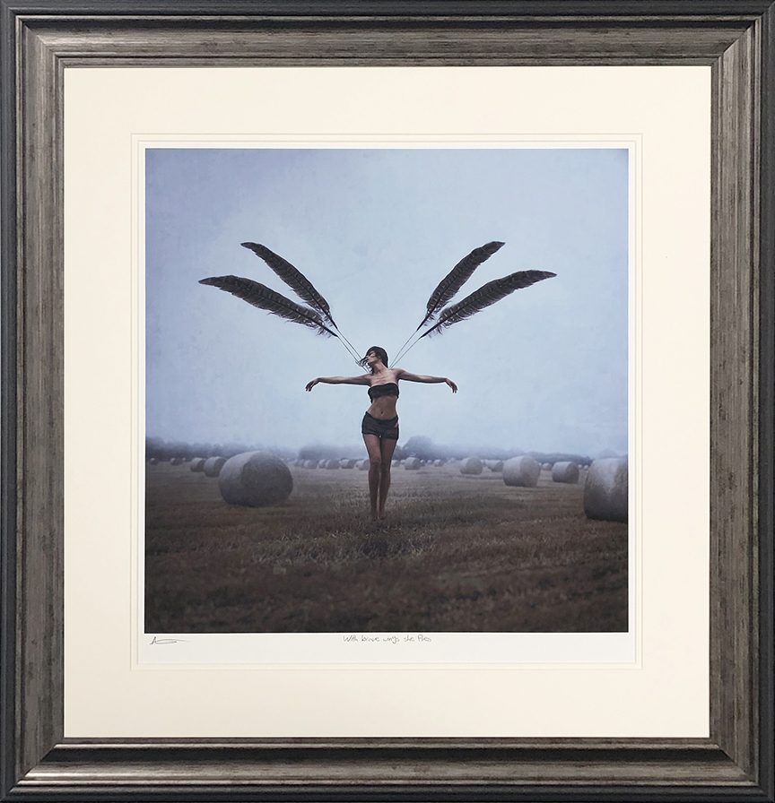 With Brave Wings She Flies