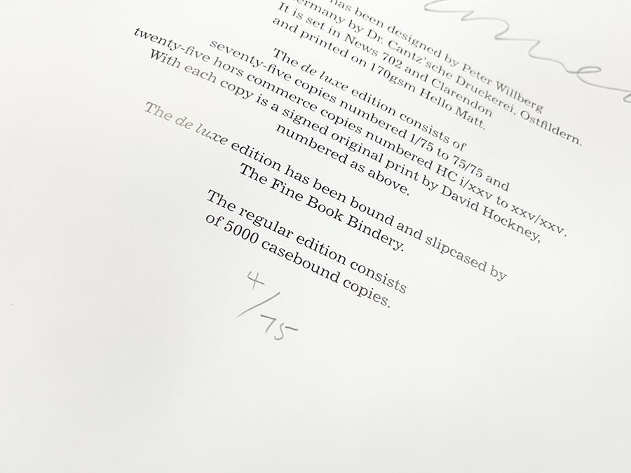 Rain on the Studio Window