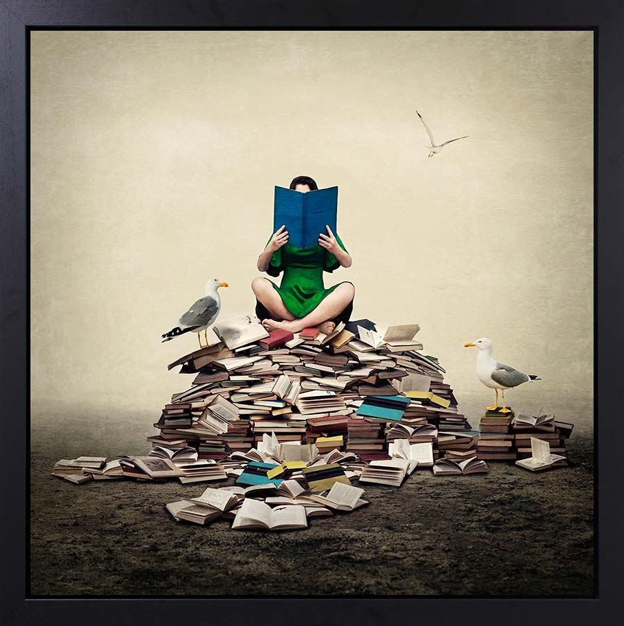 All The Stories We're Told