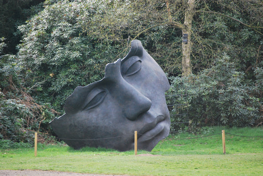 Yorkshire Sculpture Park wins museum of the year!