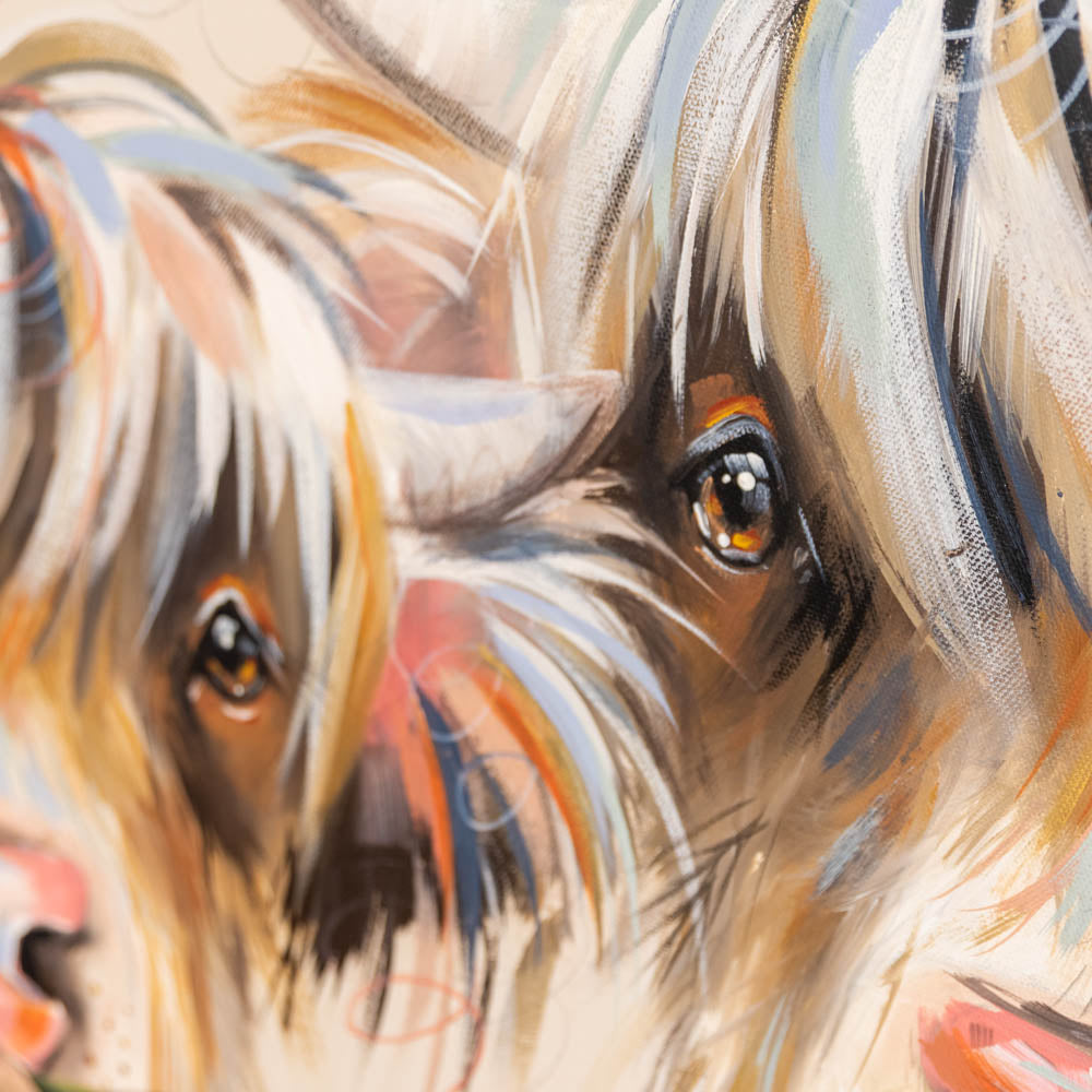Worn Hooves, Warm Hearts