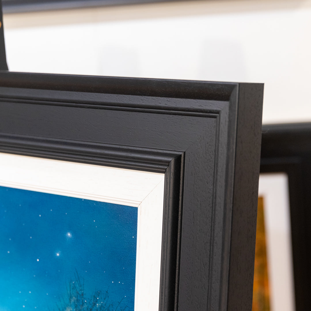 A Friendly Moment Together