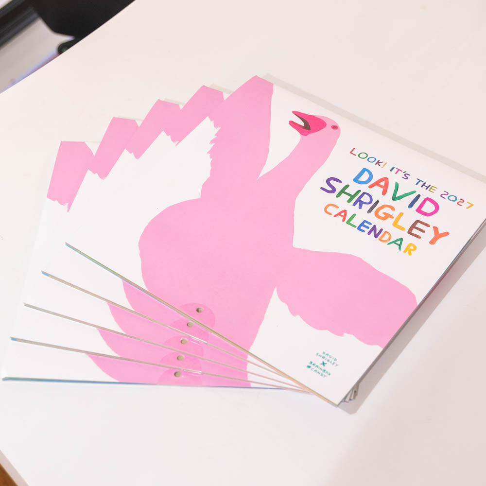 David Shrigley 2027 Calendar