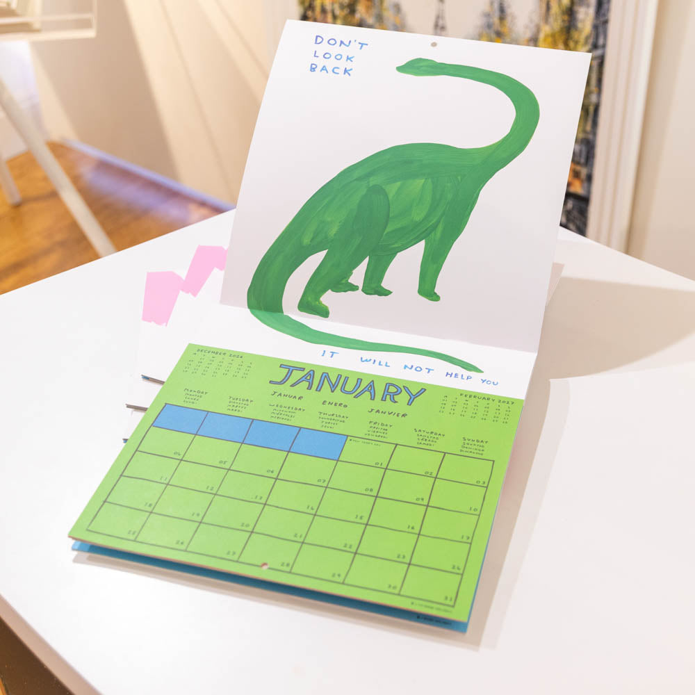 David Shrigley 2027 Calendar