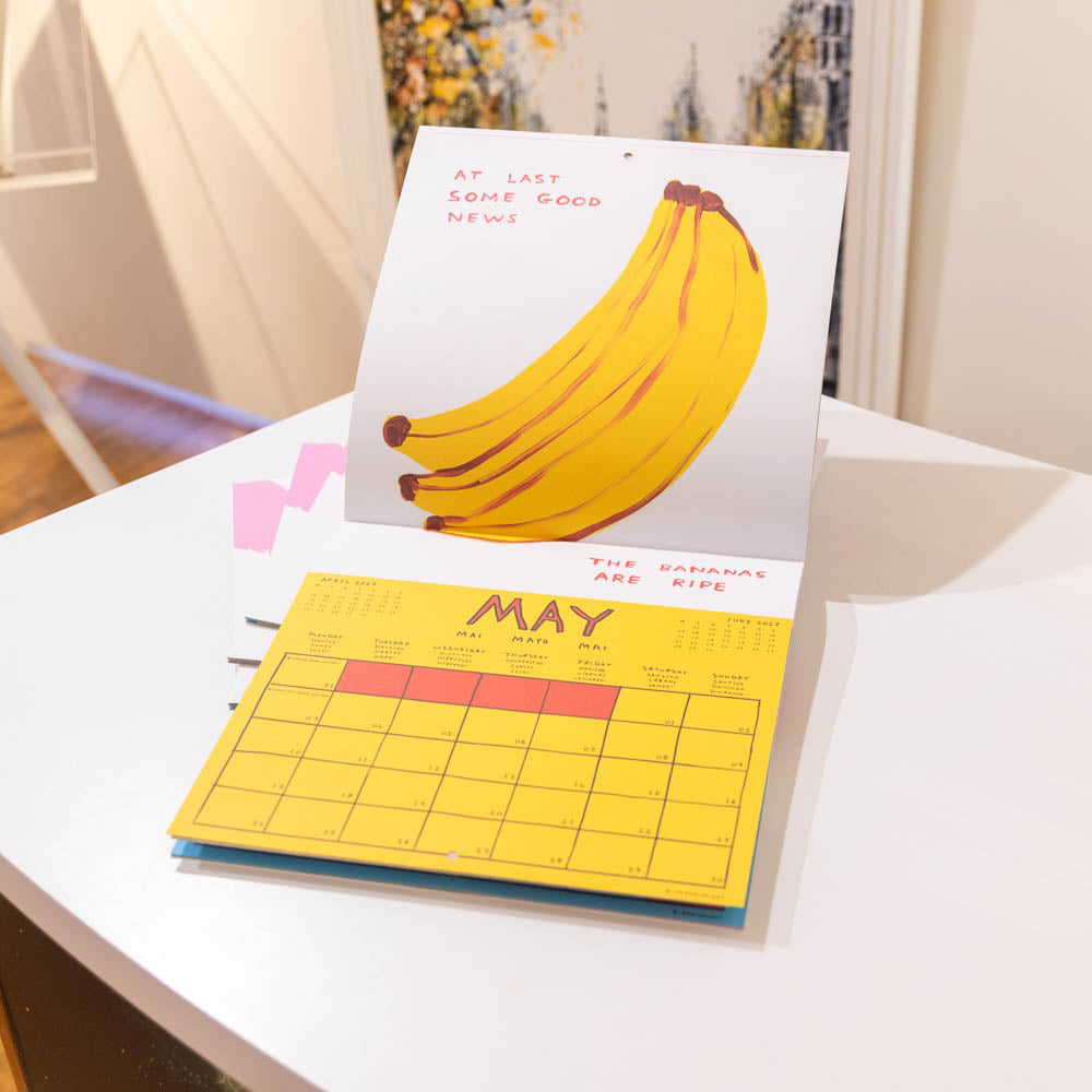 David Shrigley 2027 Calendar