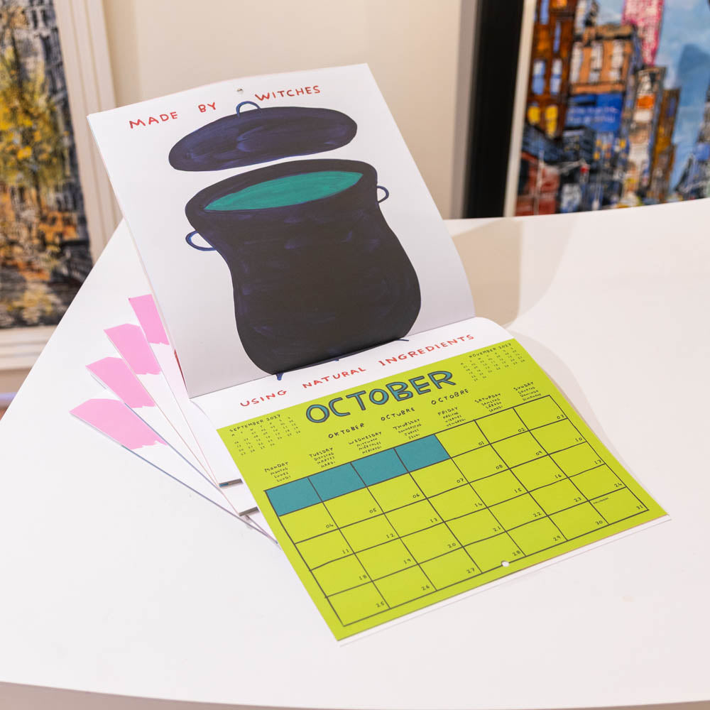 David Shrigley 2027 Calendar