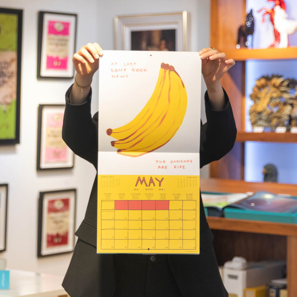 David Shrigley 2027 Calendar