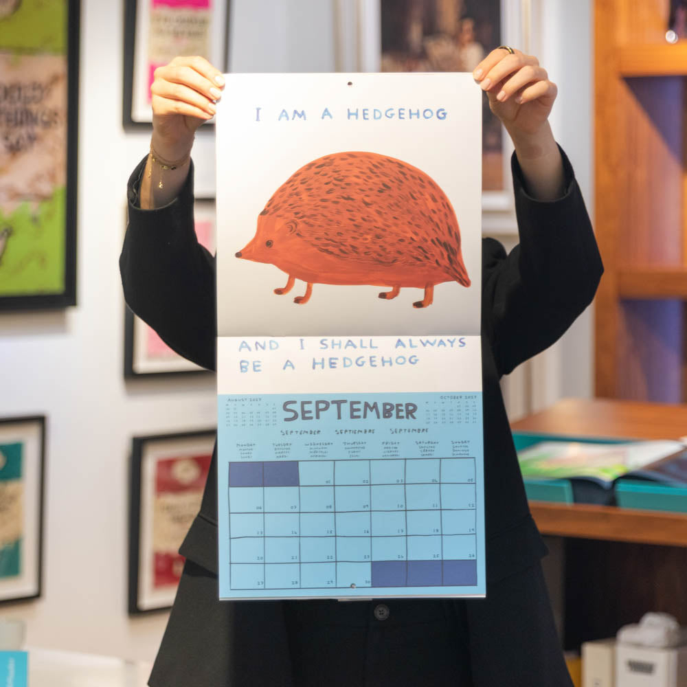 David Shrigley 2027 Calendar