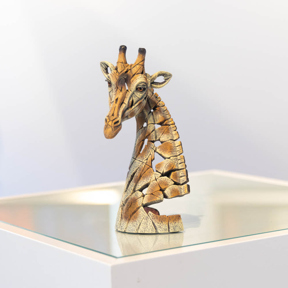 Giraffe Bust