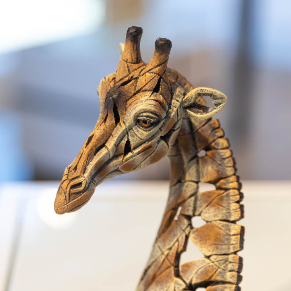 Giraffe Bust