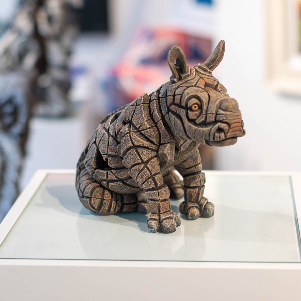 White Rhinoceros Calf