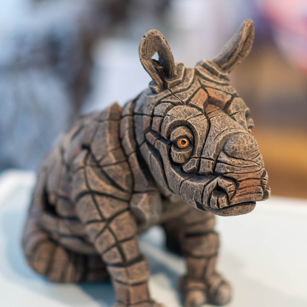 White Rhinoceros Calf