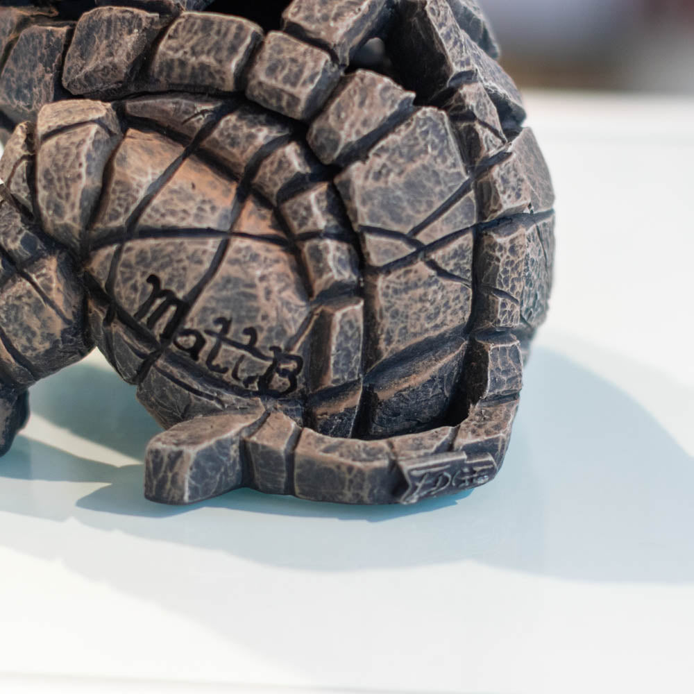 White Rhinoceros Calf