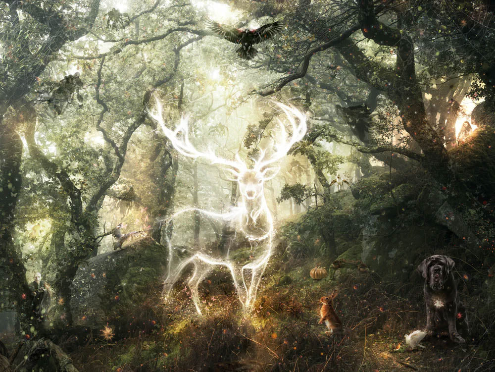 Harry Potter - Expecto Patronum