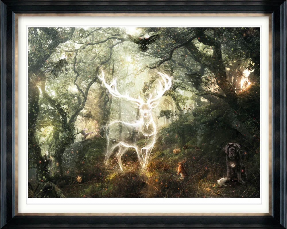 Harry Potter - Expecto Patronum