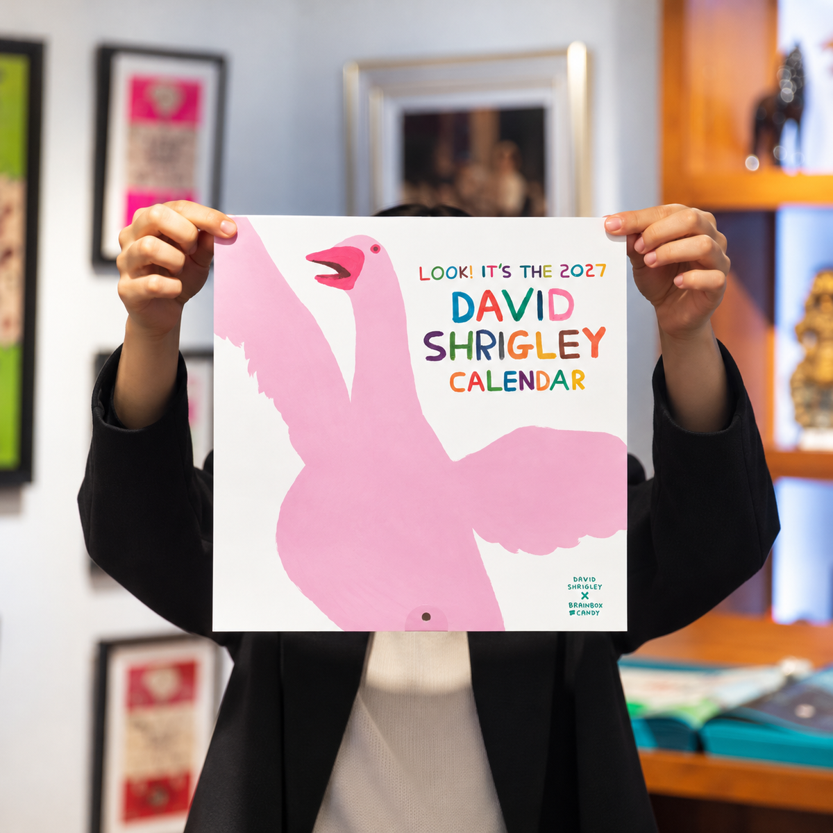 David Shrigley 2027 Calendar