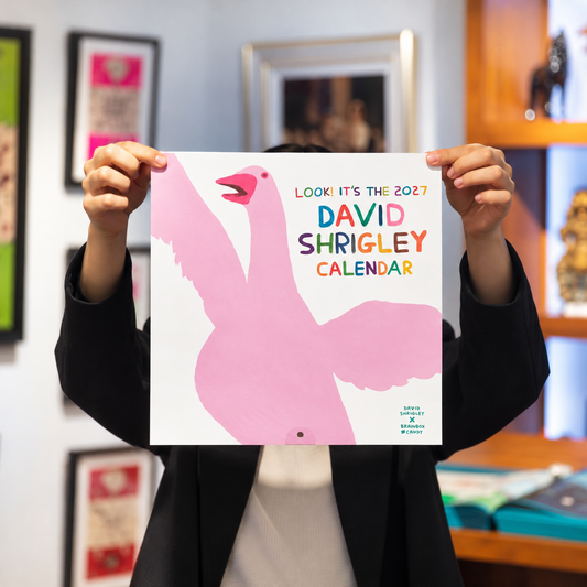 David Shrigley 2027 Calendar
