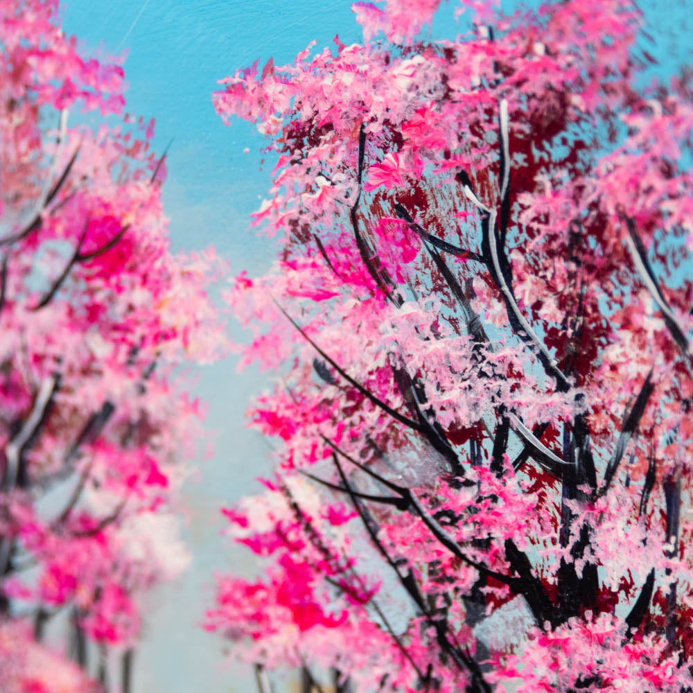 Blossom Days