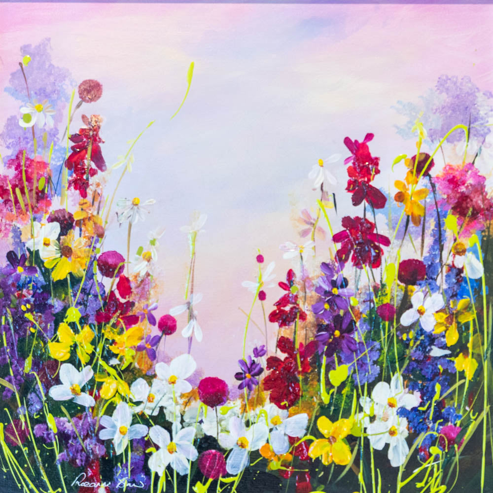 Daisy Meadows