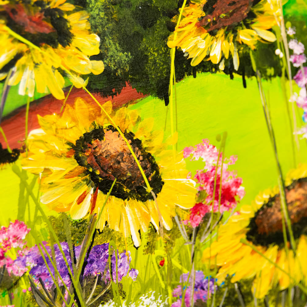 Sunshine Fields