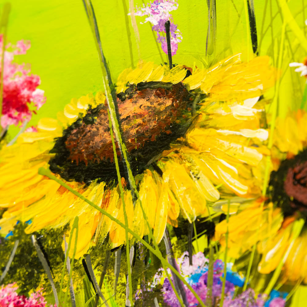Sunshine Fields