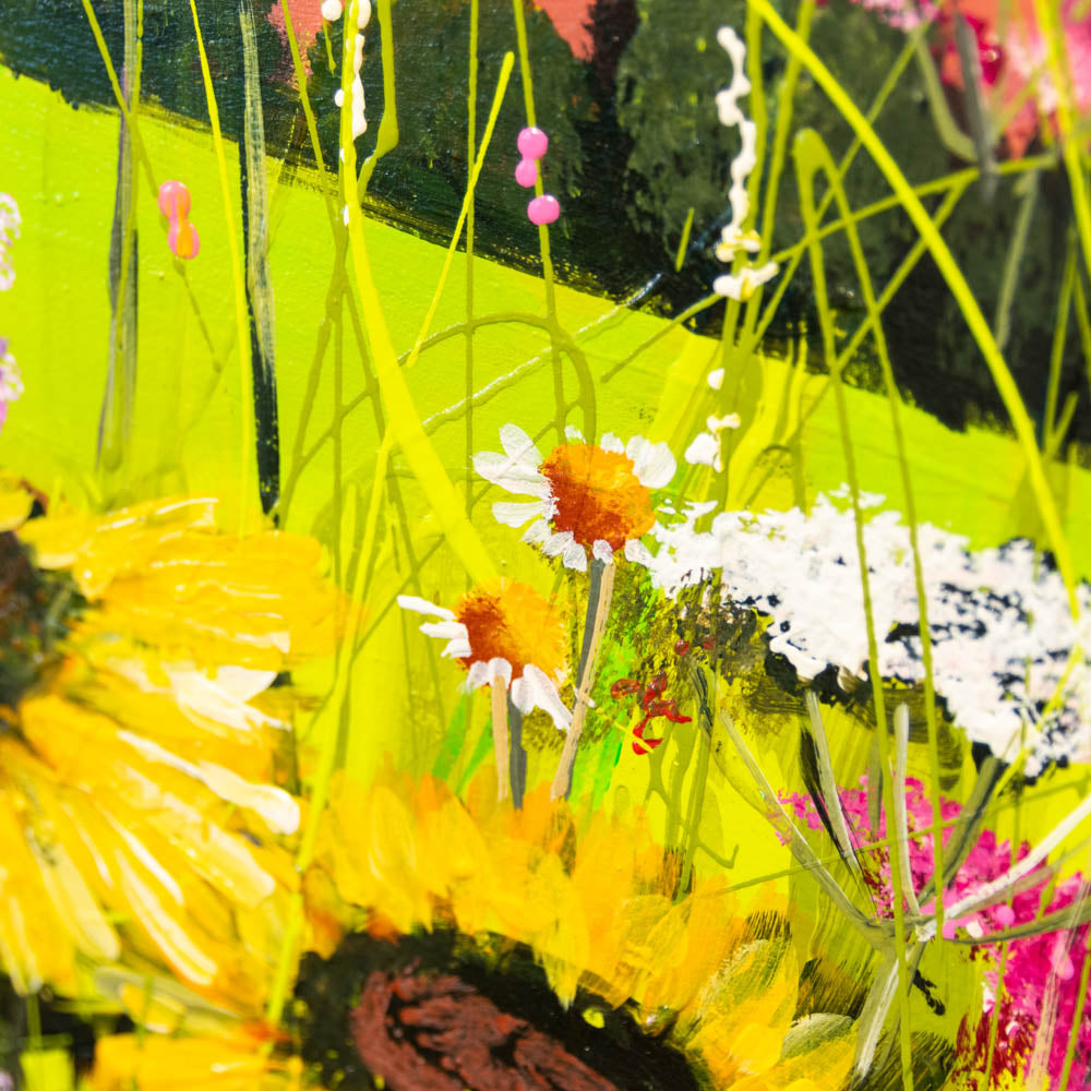 Sunshine Fields