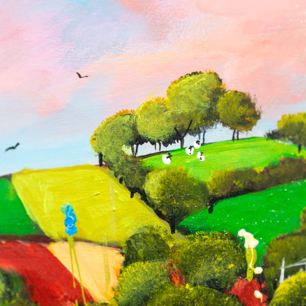 Sunshine Fields