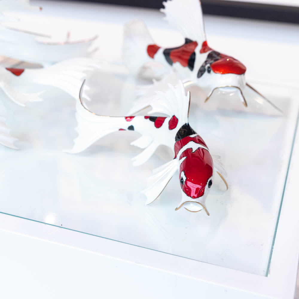 Reflection - A Series of Koi Fish - Full Set