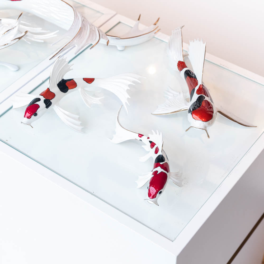 Reflection - A Series of Koi Fish - Full Set