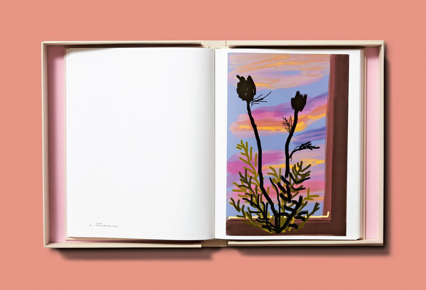 My Window, Collector’s Edition