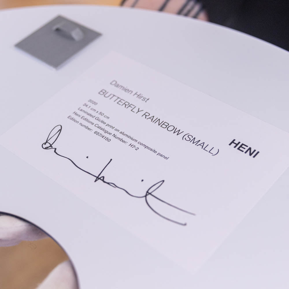 Butterfly Rainbow (Small) H7-2', 2020
