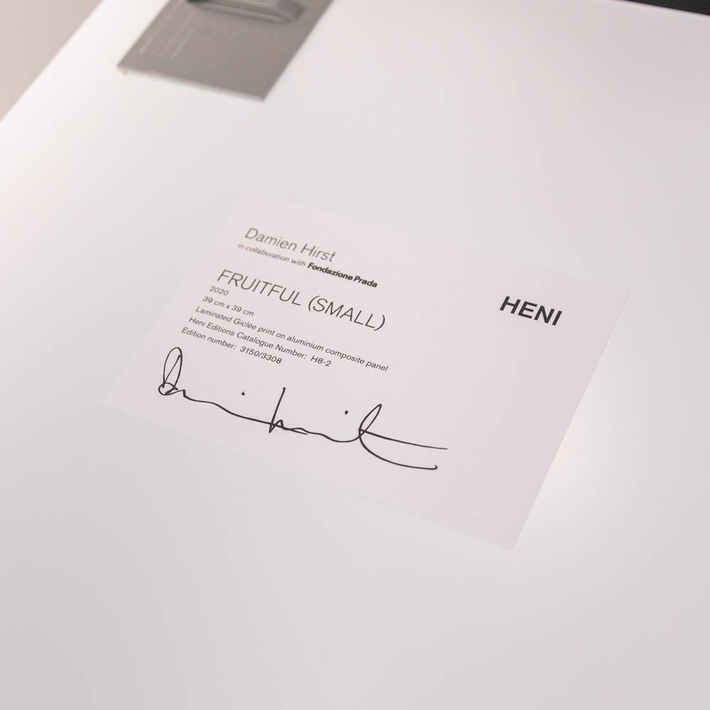 Fruitful (Small) H8-2', 2020