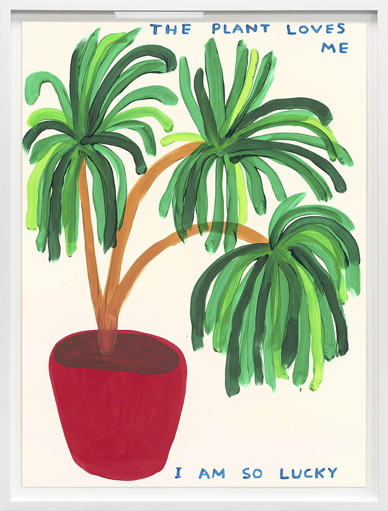 The Plant Loves Me (2023)