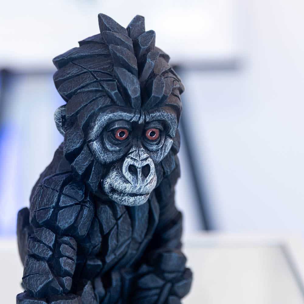 Baby Gorilla