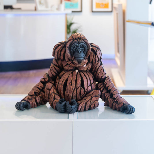 Orangutan