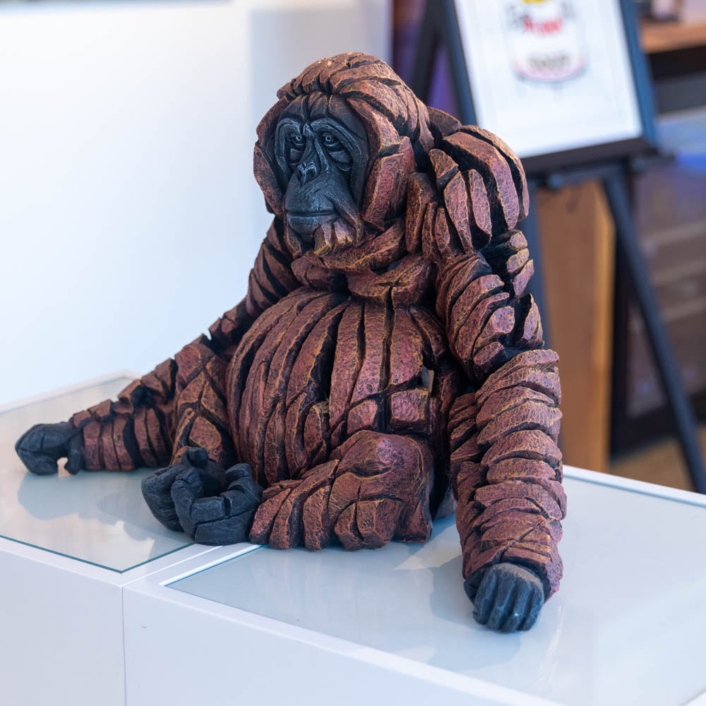 Orangutan