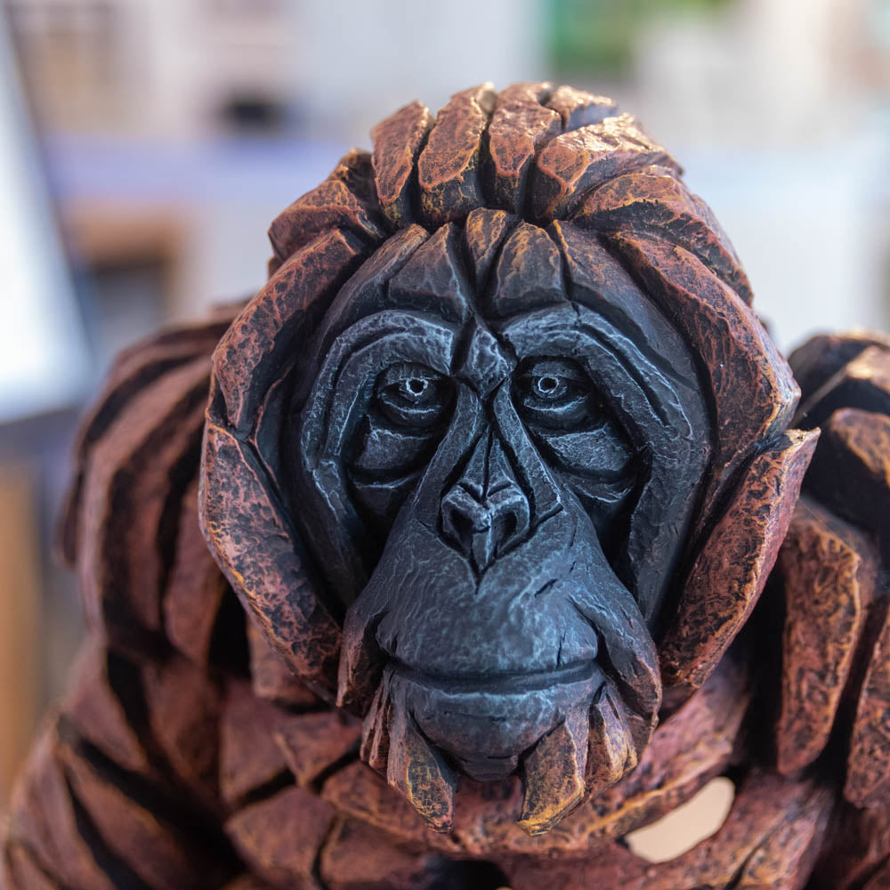 Orangutan