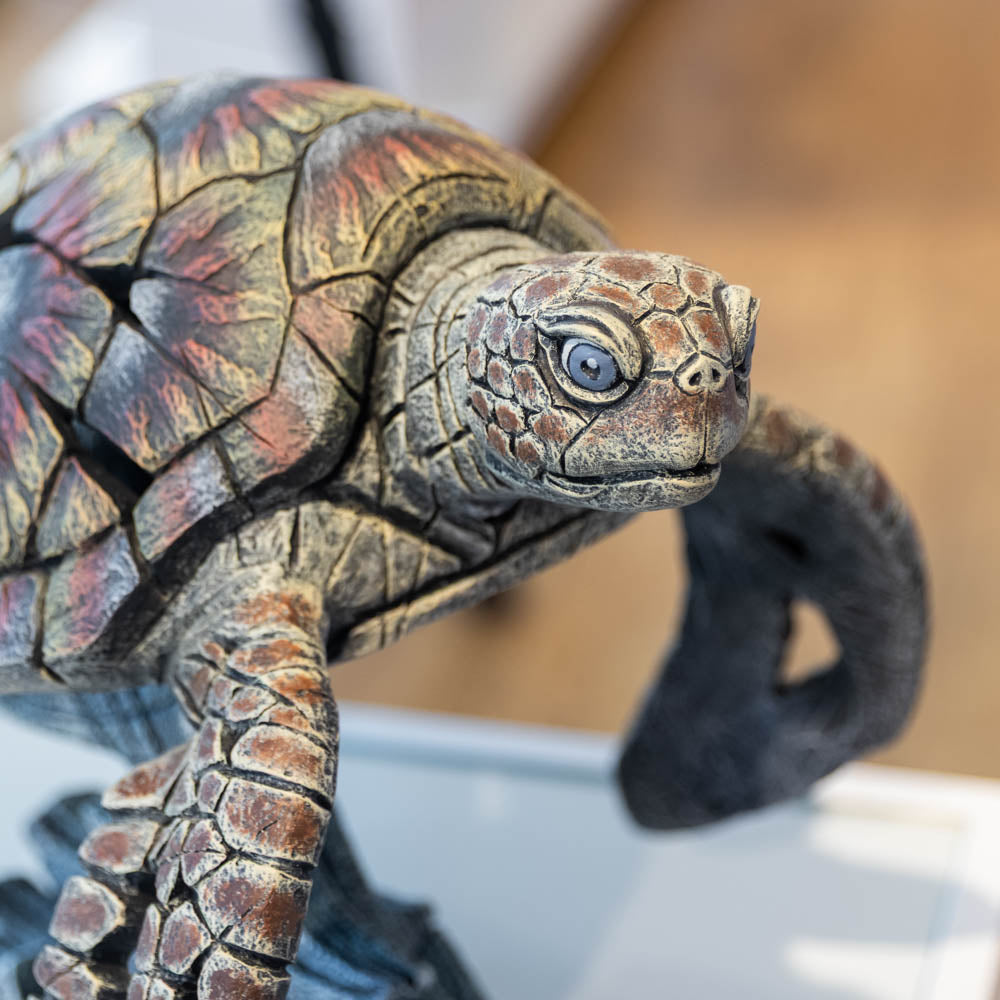 Sea Turtle