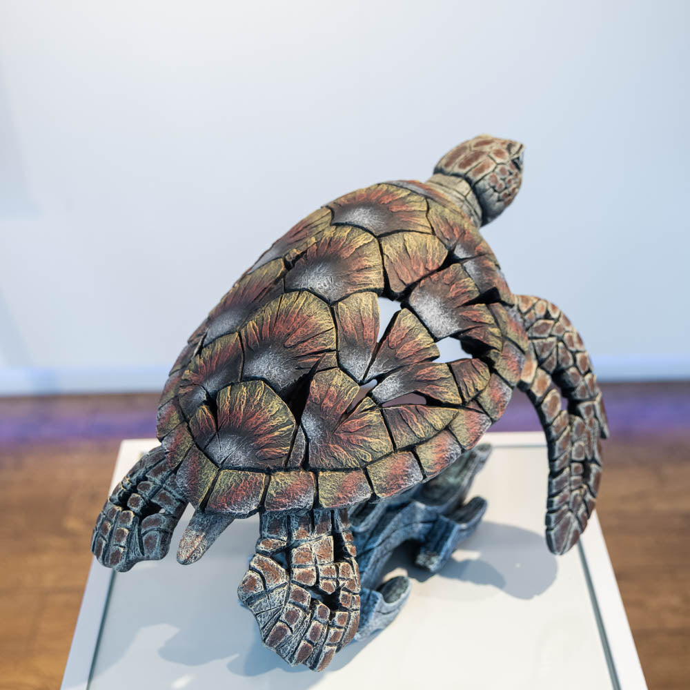 Sea Turtle