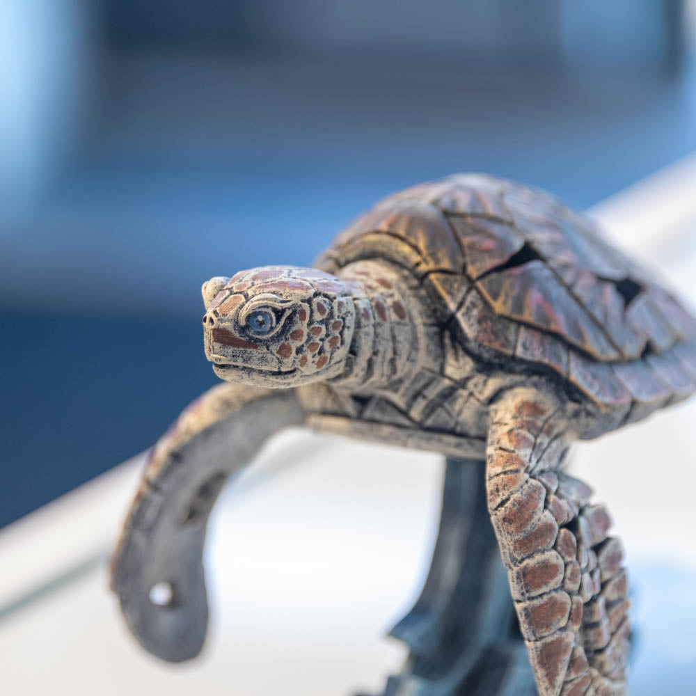 Sea Turtle