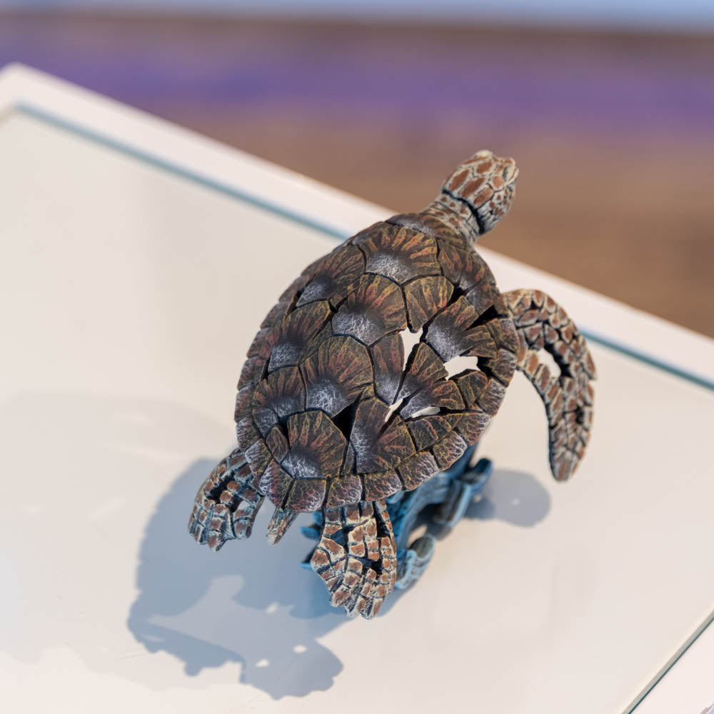 Sea Turtle