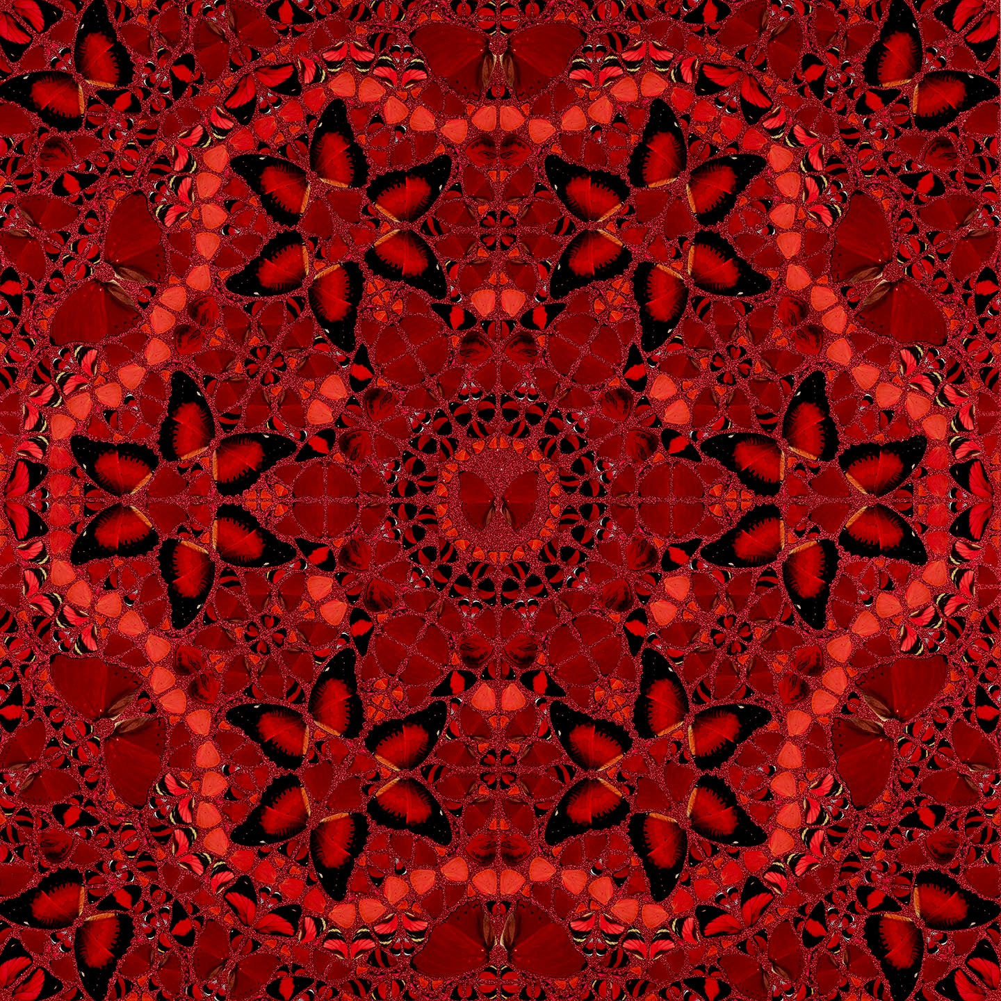 The Empresses - H10-1 Wu Zetian