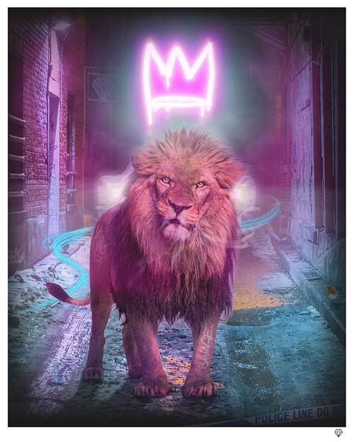 King of the (Urban) Jungle - Pink