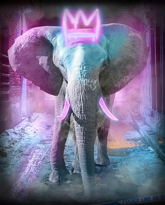 Young Bull - Neon Pink