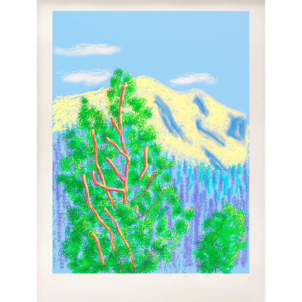 Untitled No. 9 from The Yosemite Suite, 2010
